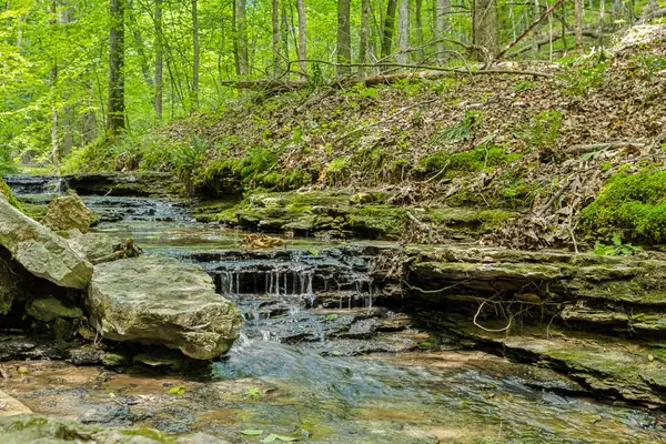 1 Crocker Springs Rd, Goodlettsville, TN 37072