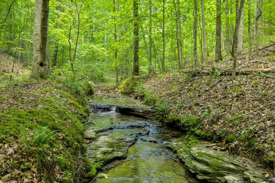 1 Crocker Springs Rd, Goodlettsville, TN 37072 - #3