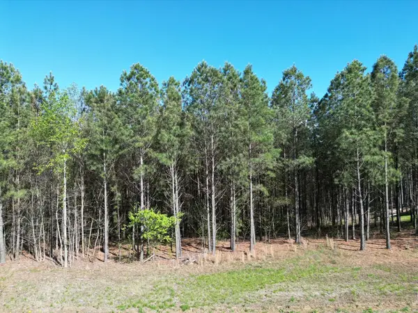 3261 Crockett Pointe, Jasper, TN 37347