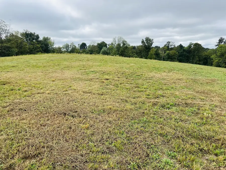 7 Annie Hollow Rd, Westmoreland, TN 37186 - #3