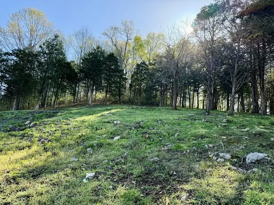 84 Harbor Pointe Drive, Silver Point, TN 38582 - #3