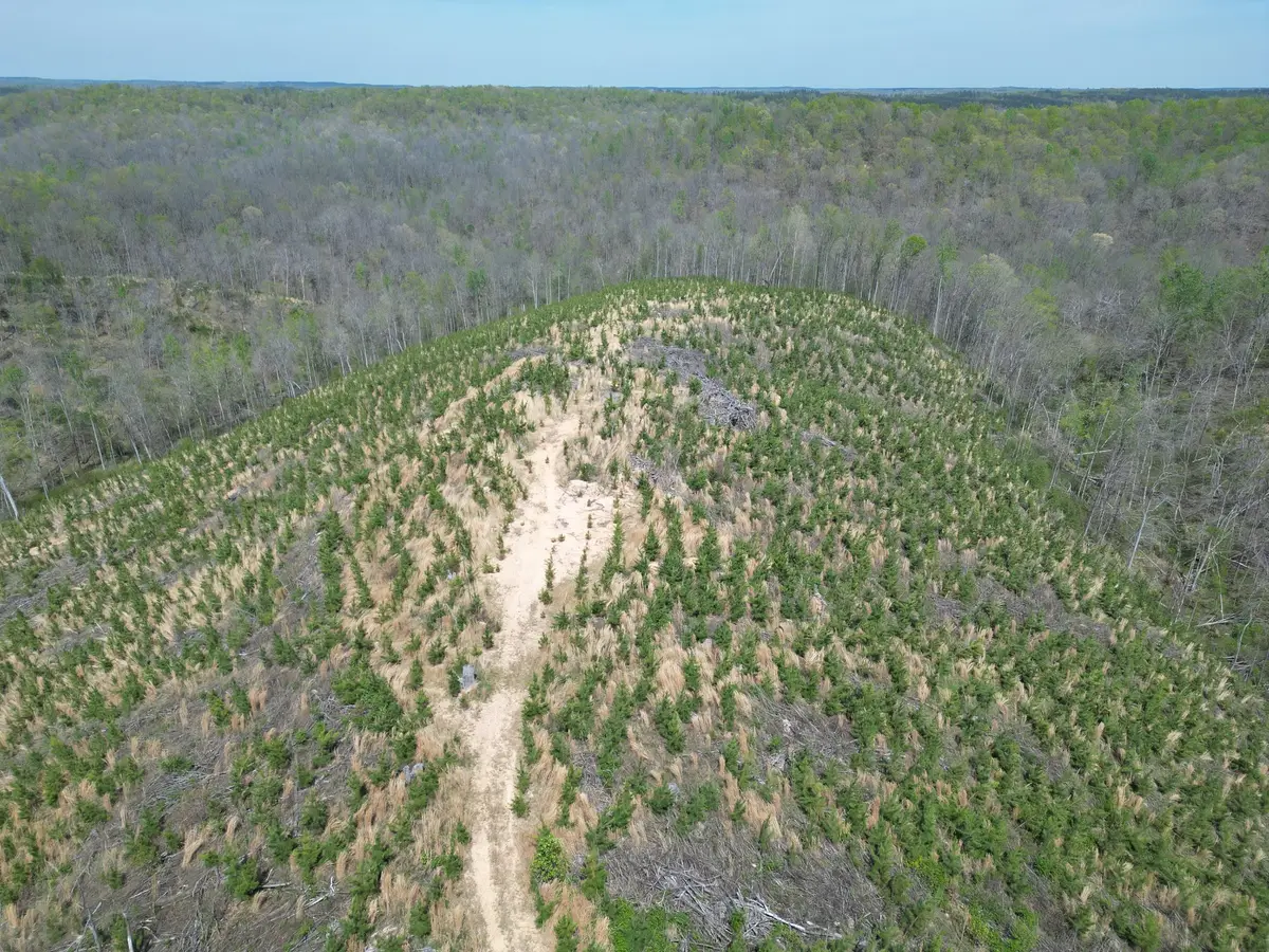 0D Waynesboro Hwy, Waynesboro, TN 38485 - #1