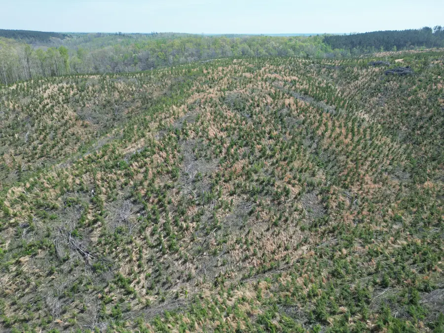 0D Waynesboro Hwy, Waynesboro, TN 38485 - #2