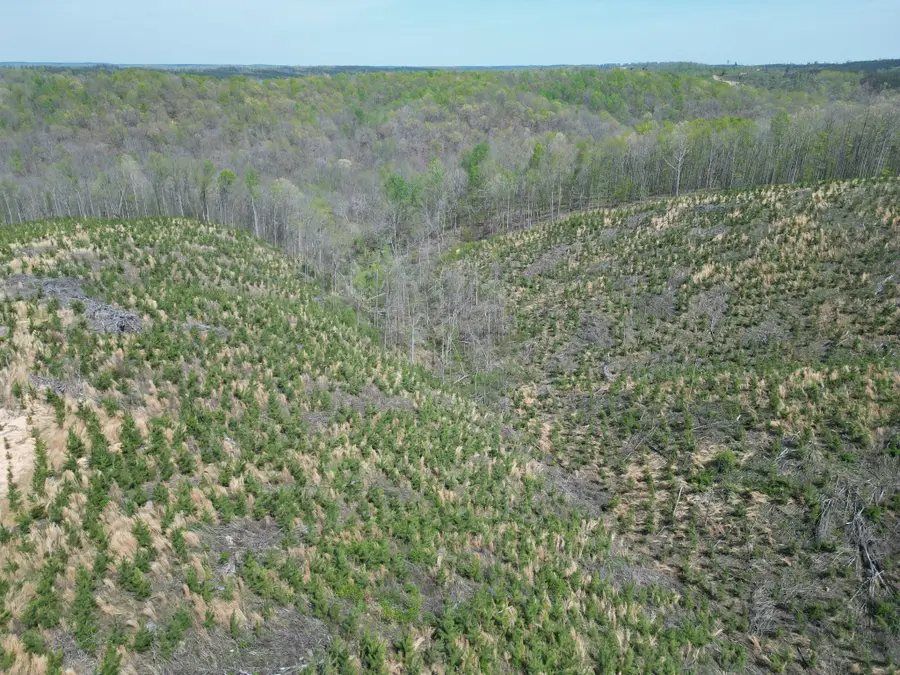 0D Waynesboro Hwy, Waynesboro, TN 38485 - #3