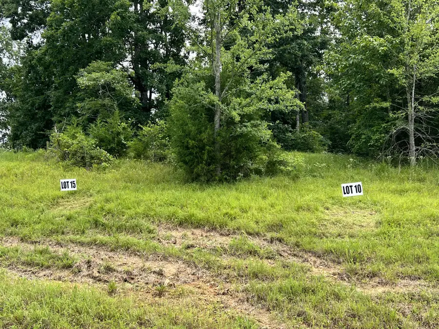 0 Hwy 7, Santa Fe, TN 38482 - #3