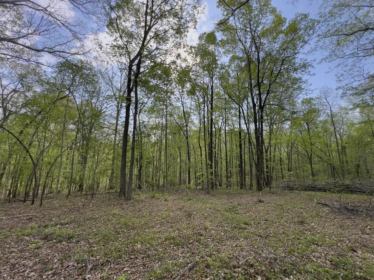 0 Valley Road, Fairview, TN 37062 - #1