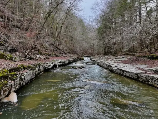 0 Hollow Creek Lane, Clarkrange, TN 38553