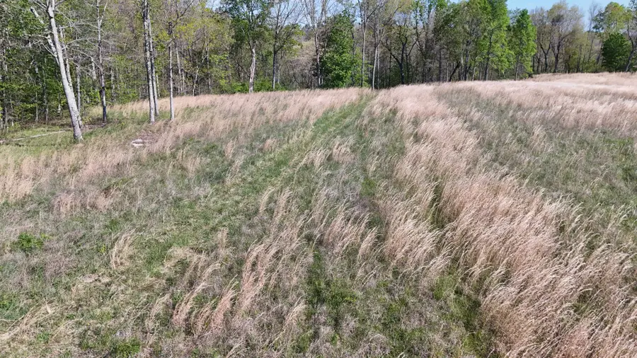 0 Hollow Creek Lane, Clarkrange, TN 38553 - #2
