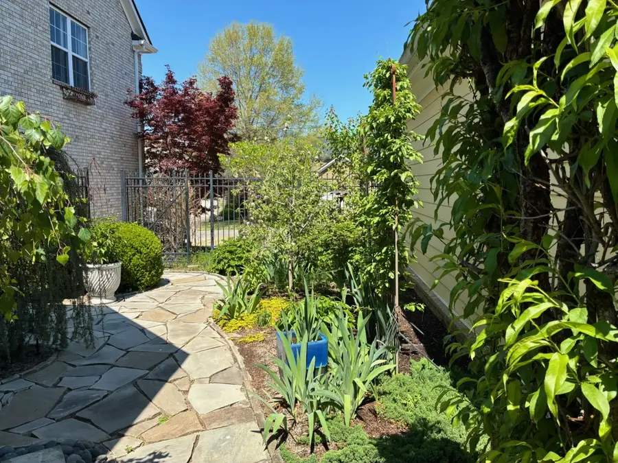 339 Rosebud Cir, Franklin, TN 37064 - #3