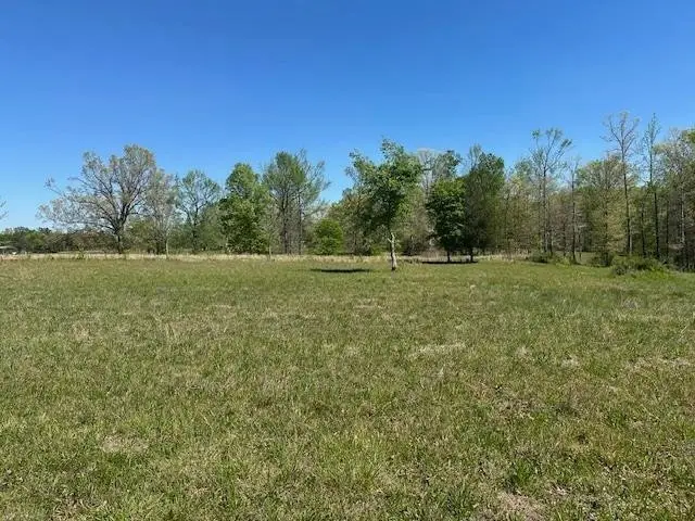 0 Pear Blossom Ln, Adamsville, TN 38310 - #3