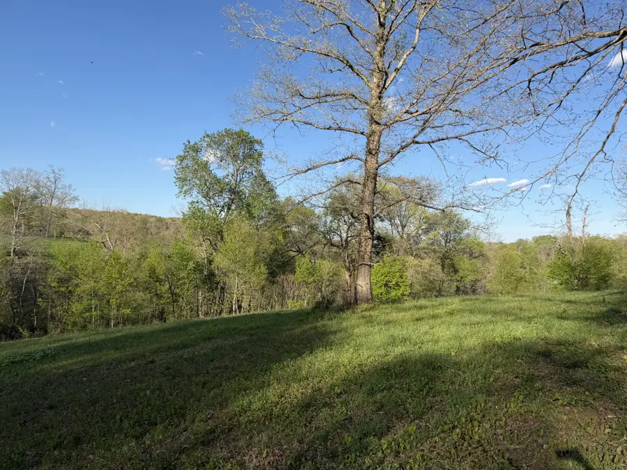 0 Dogwood Drive, Erin, TN 37061 - #2