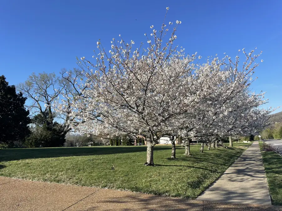 9224 Sydney Ln, Brentwood, TN 37027 - #3