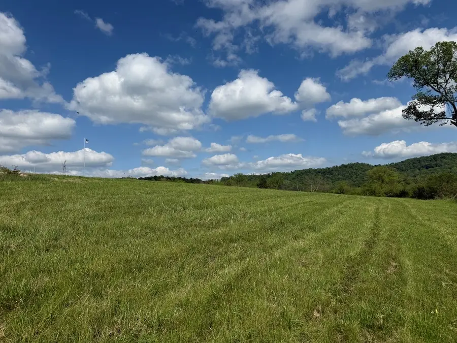 222 Cook Hollow Ln, Pleasant Shade, TN 37145 - #2