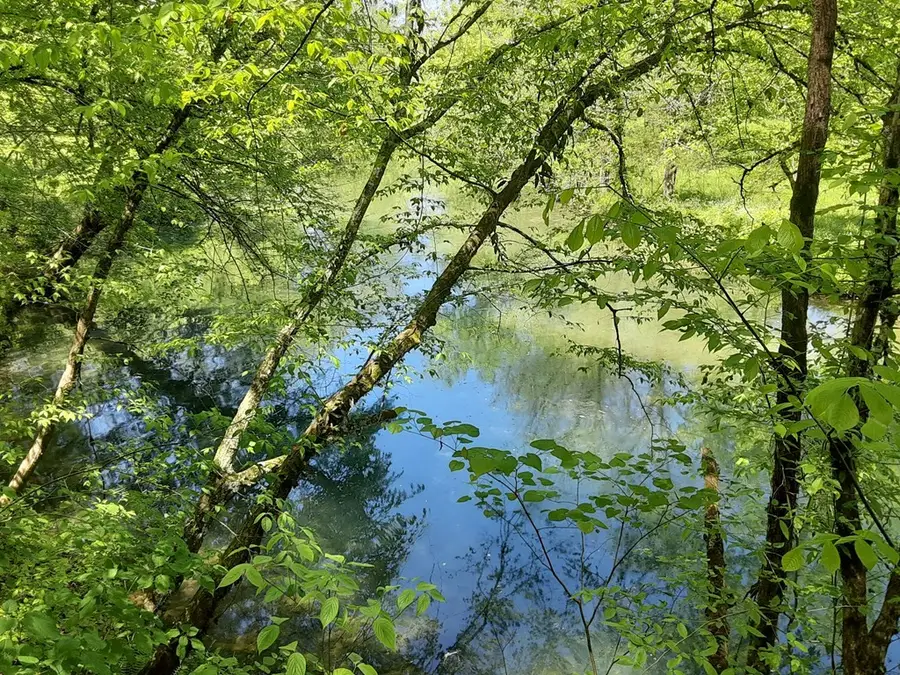 222 Cook Hollow Ln, Pleasant Shade, TN 37145 - #3