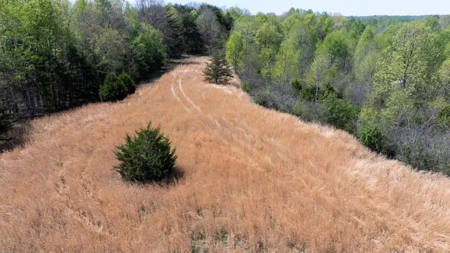 0 Dodson Branch Hwy, Cookeville, TN 38501 - #2