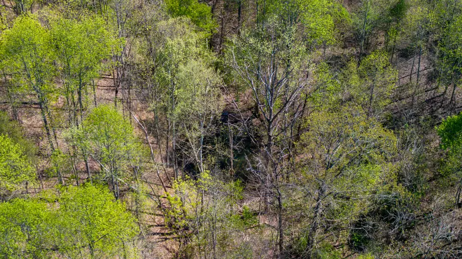 0 Dodson Branch Hwy, Cookeville, TN 38501 - #3