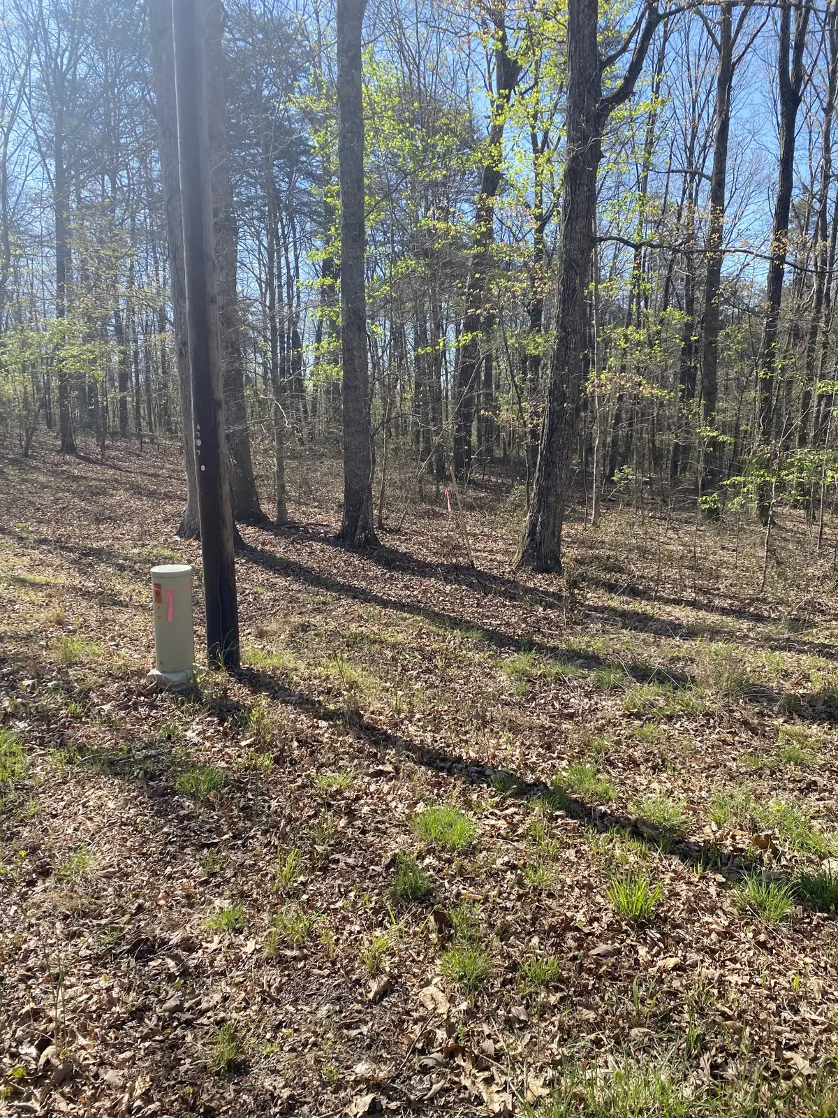 362 Haynes Rd, Sewanee, TN 37375 - #1