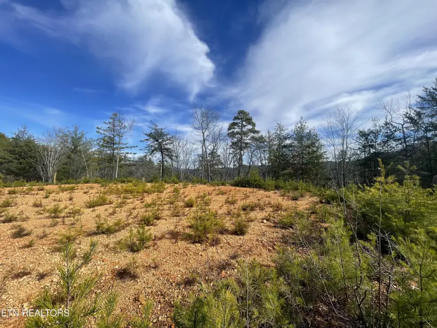 36 Bullet Mountain Drive, Tellico Plains, TN 37385 - #3