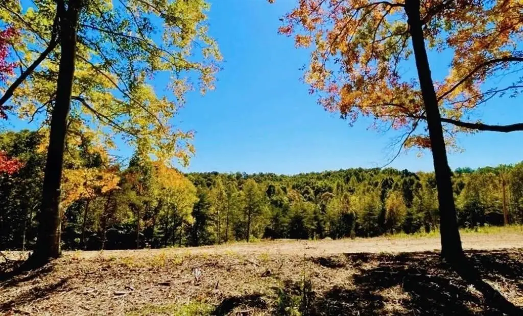 0 State Park Road, Burkesville, KY 42717 - #1