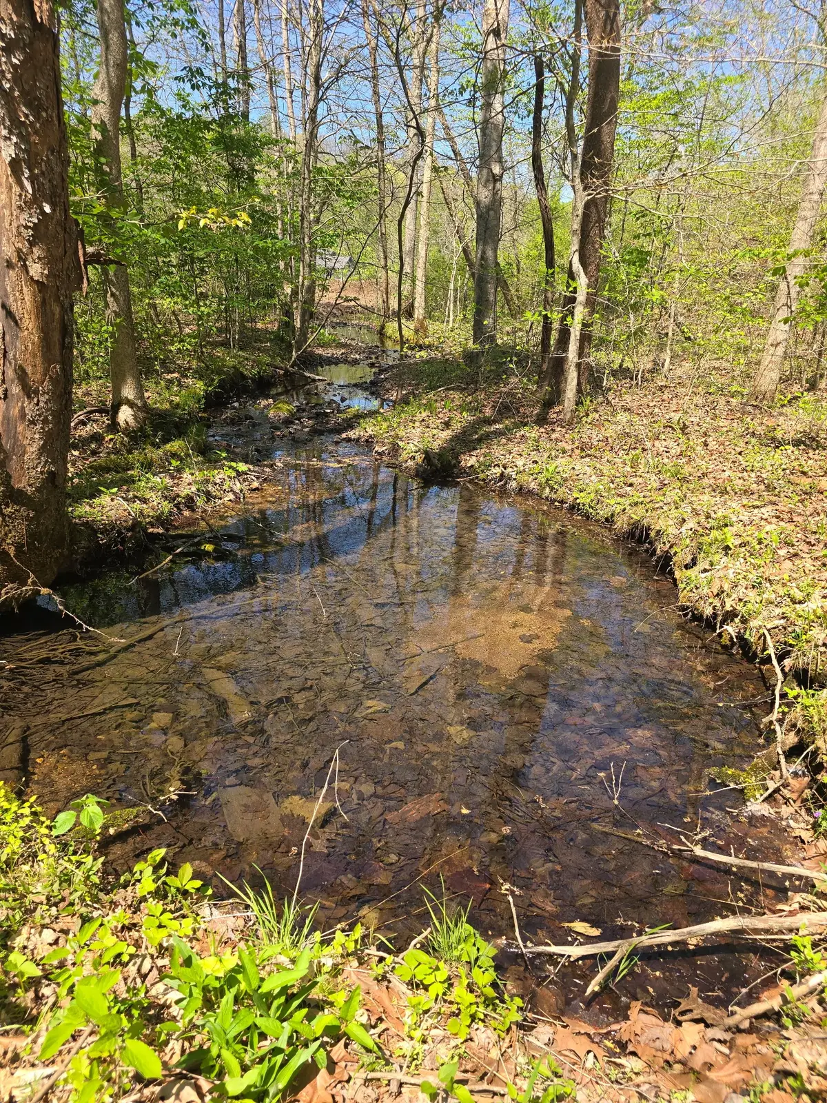 4149 Hwy 49, Tennessee Ridge, TN 37178 - #1