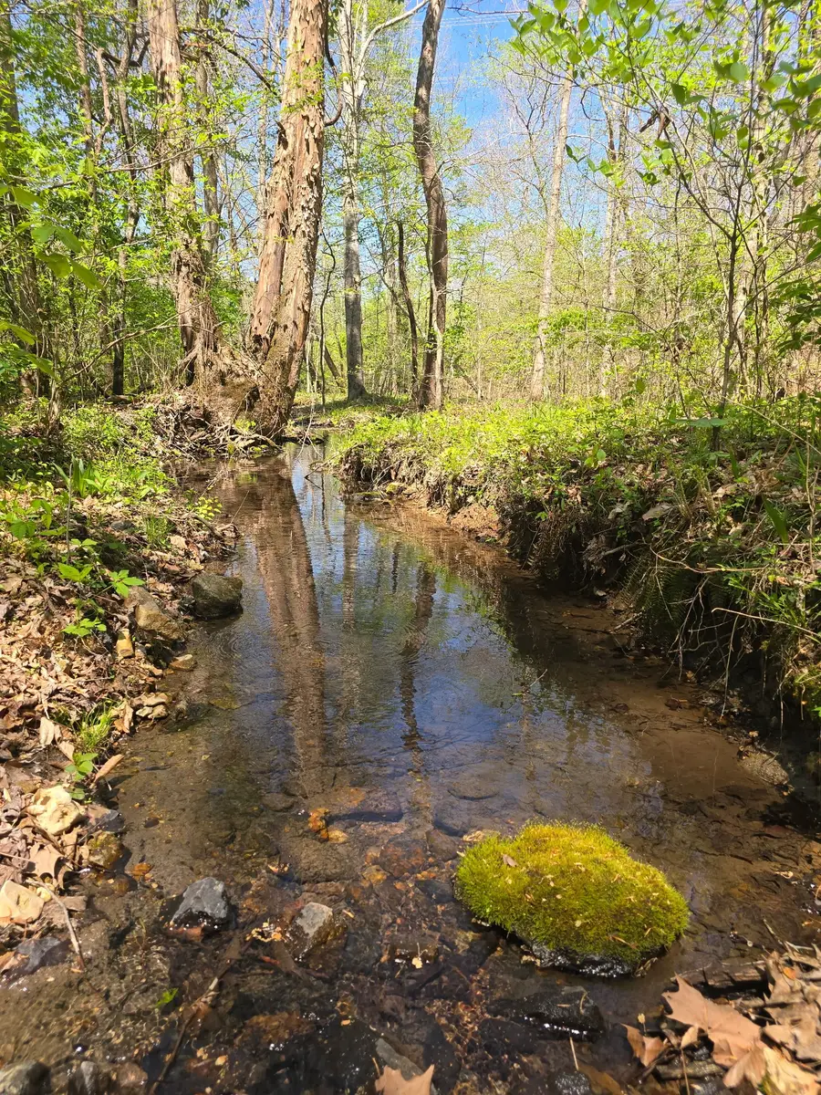 4149 Hwy 49, Tennessee Ridge, TN 37178 - #2