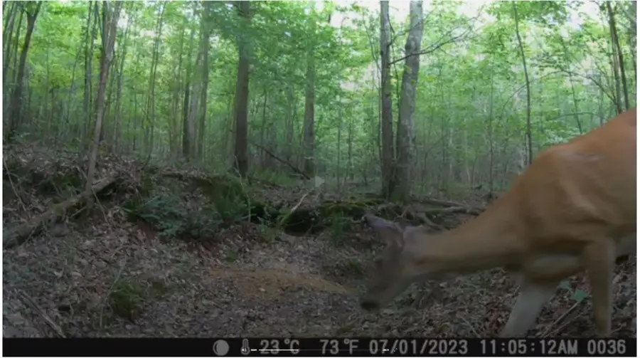 0 Ridgetop Rd, Hampshire, TN 38461 - #3