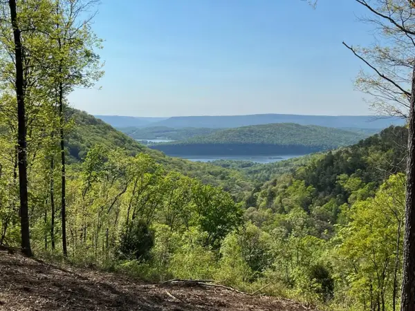 1755 Birds Eye Way, Guild, TN 37340