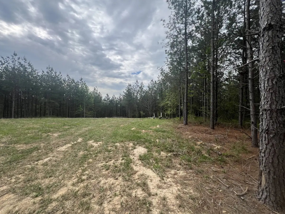 36 Pafford Lane, Erin, TN 37061 - #1