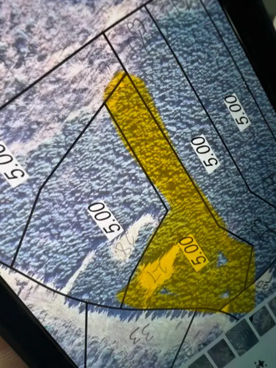 36 Pafford Lane, Erin, TN 37061 - #2