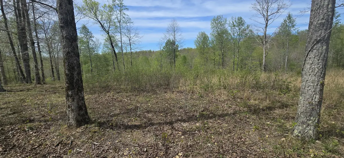 360 James Zimmerman Rd, Hampshire, TN 38461 - #1
