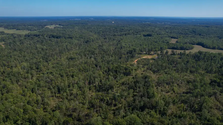 0 Old Murray Paris Rd, Puryear, TN 38251 - #2