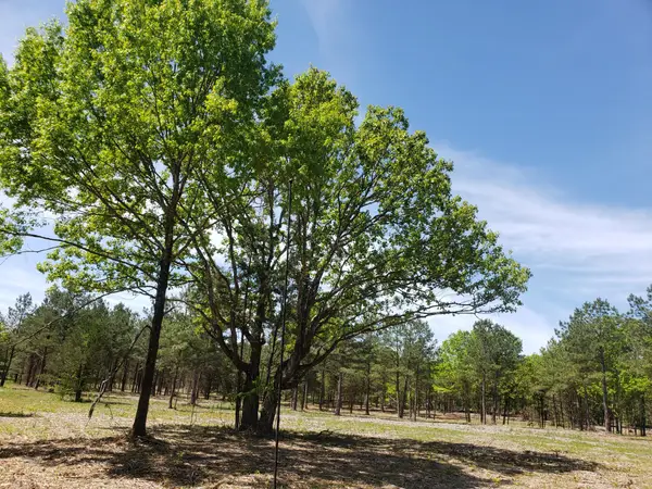 0 Kedron Rd, Spring Hill, TN 37174