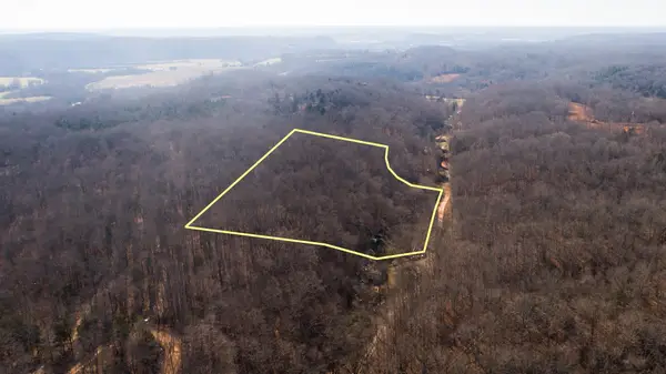 0 Opossum Hollow Rd, Primm Springs, TN 38476