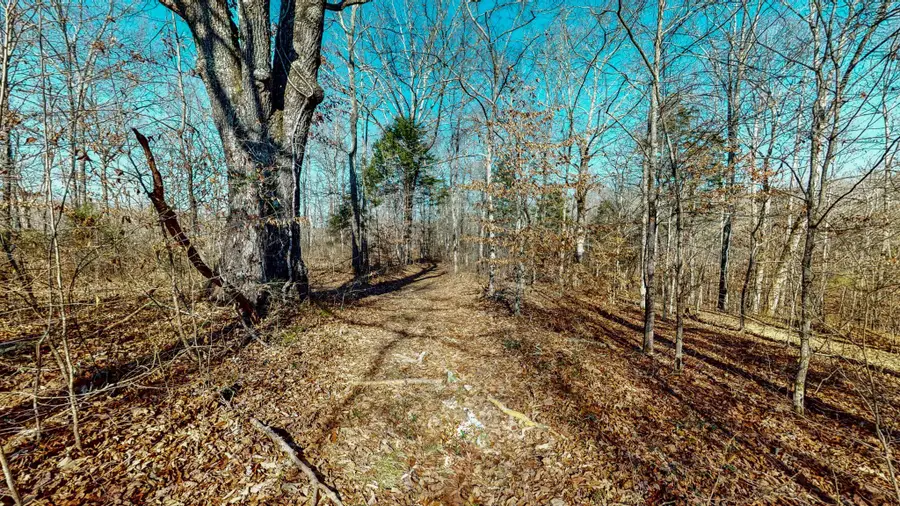 0 Opossum Hollow Rd, Primm Springs, TN 38476 - #2