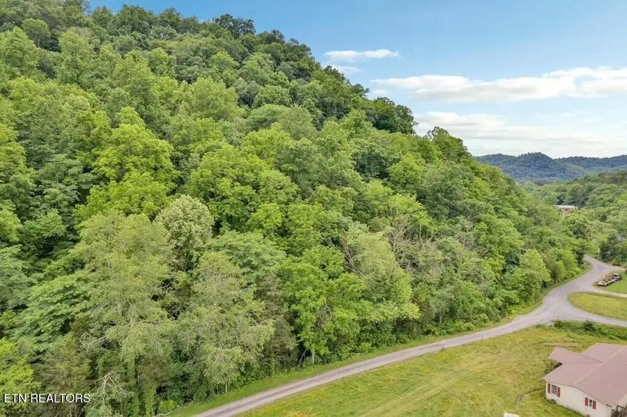 0 Hurricane Branch Lane, Gainesboro, TN 38562 - #3