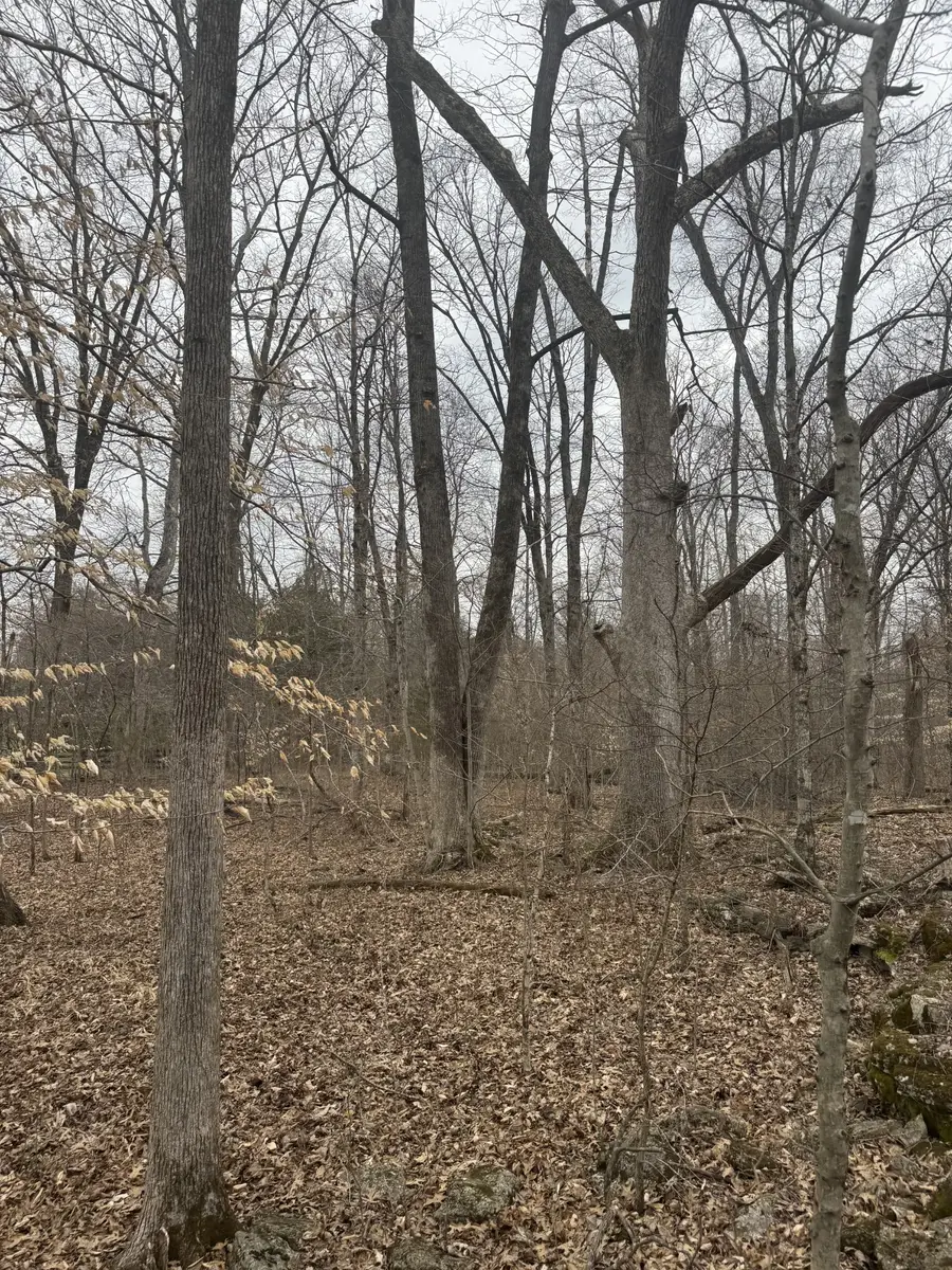 0 Hwy 41 A N, Shelbyville, TN 37160 - #2