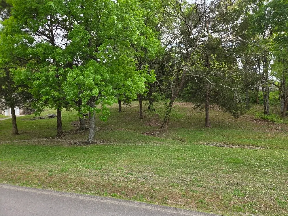 0 Mays Chapel Rd, Mount Juliet, TN 37122 - #1