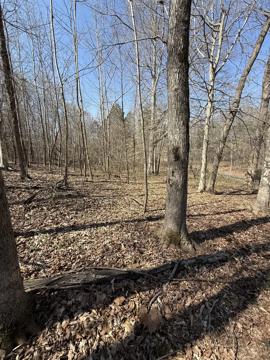 0 Brigham Branch Rd, Erin, TN 37061 - #3