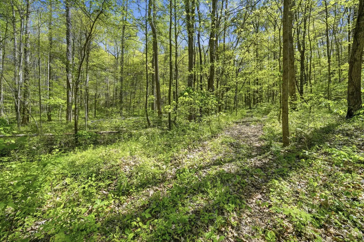 0 Green Road, Beechgrove, TN 37018 - #1