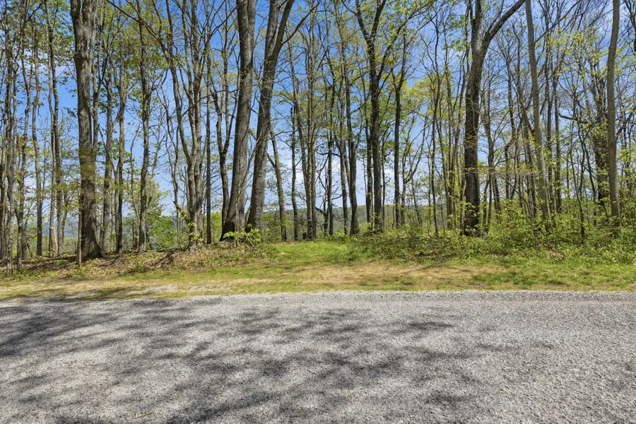 0 Green Road, Beechgrove, TN 37018 - #3