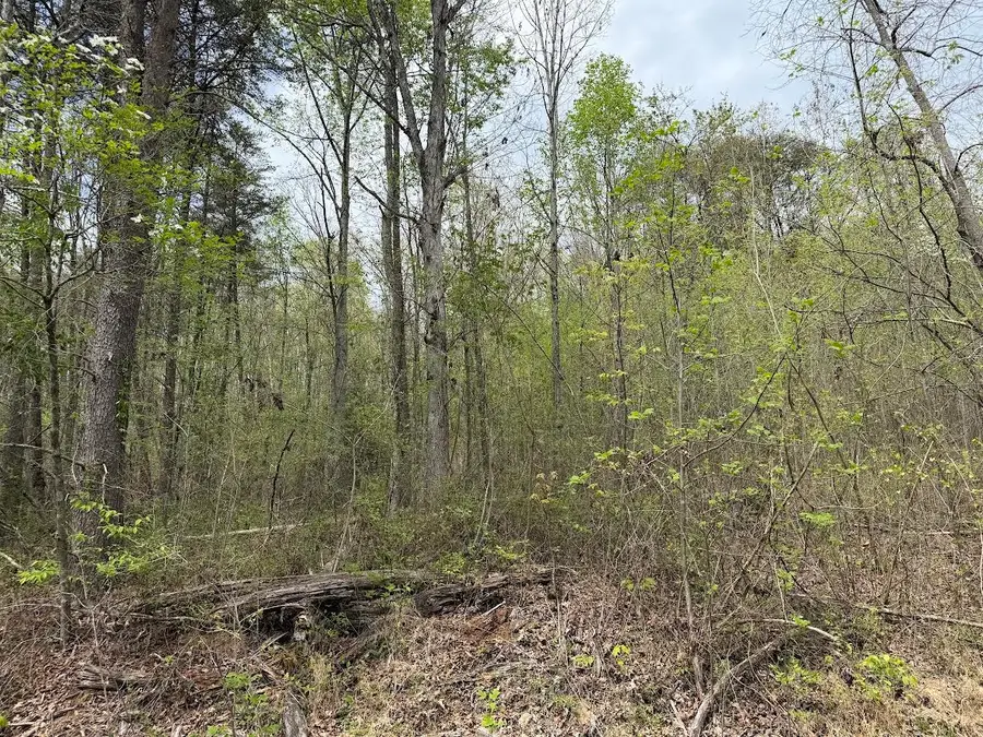 0 Myers Hill Rd, Tracy City, TN 37387 - #2