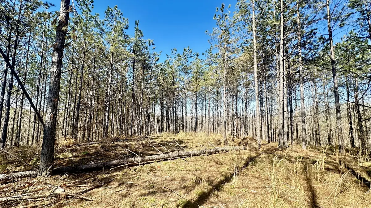 173 Center Ridge Dr, Hohenwald, TN 38462 - #1