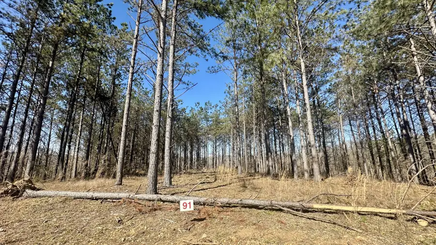 173 Center Ridge Dr, Hohenwald, TN 38462 - #2