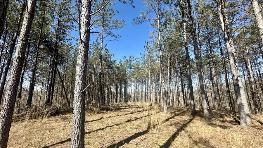 173 Center Ridge Dr, Hohenwald, TN 38462 - #3