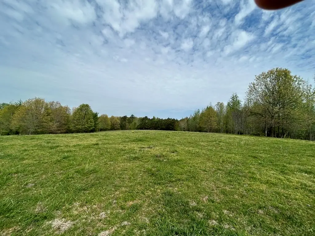 0 Elkhorn Rd, Springville, TN 38256 - #1
