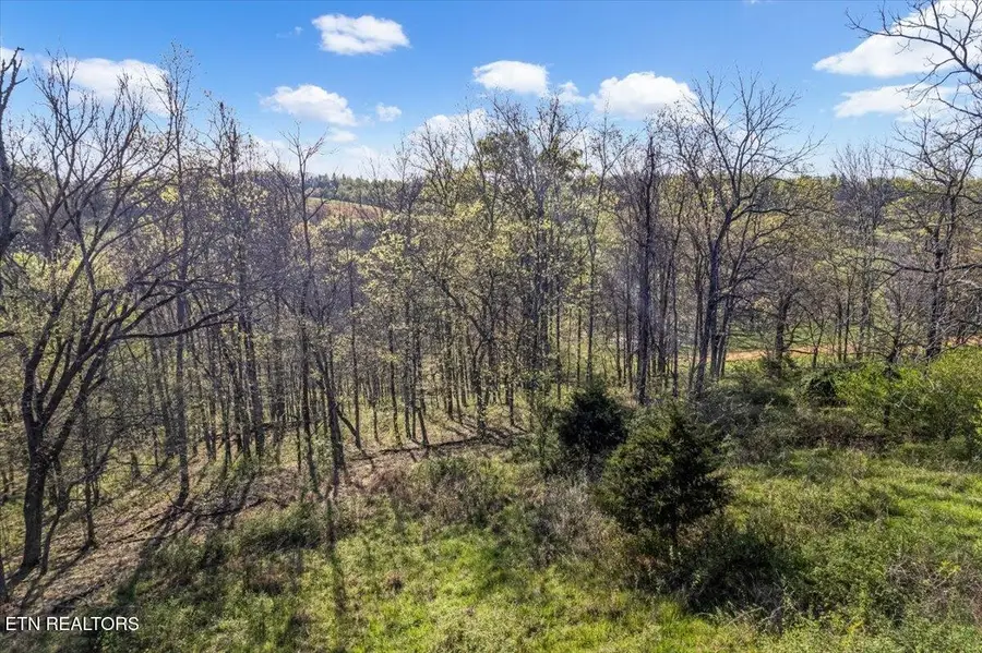 1624 Bartlett Hollow Rd, Petersburg, TN 37144 - #3