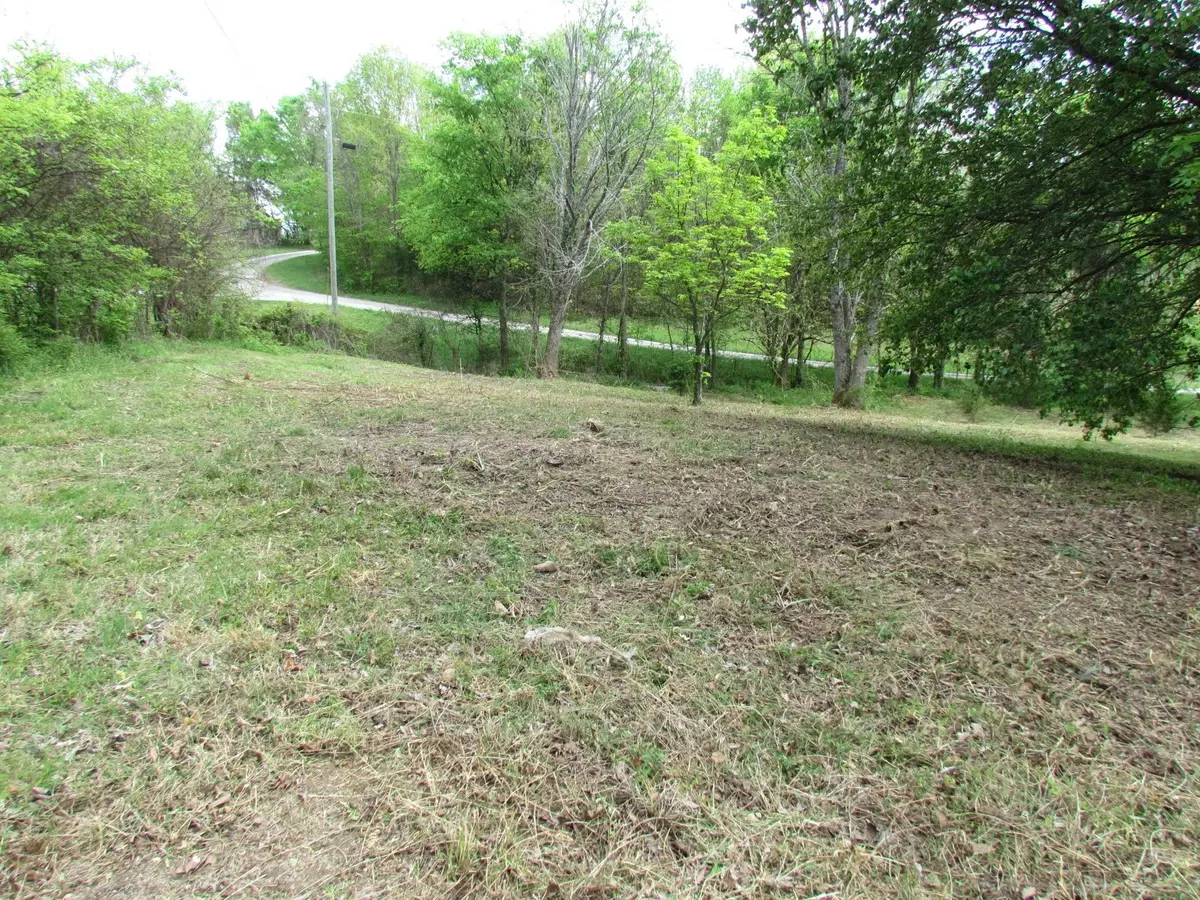 83 Nixon Ln, Watertown, TN 37184 - #1
