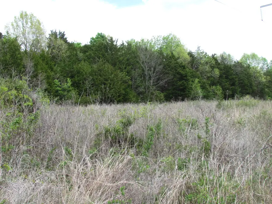 83 Nixon Ln, Watertown, TN 37184 - #3