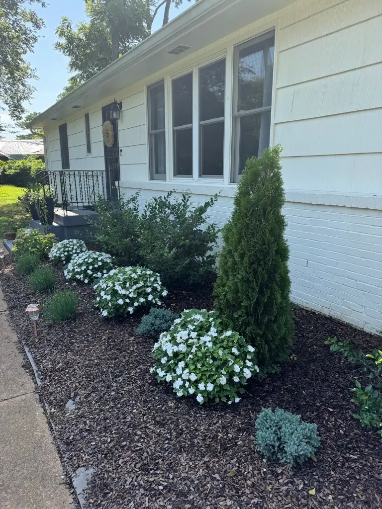 347 Blackman Rd, Nashville, TN 37211 - #2