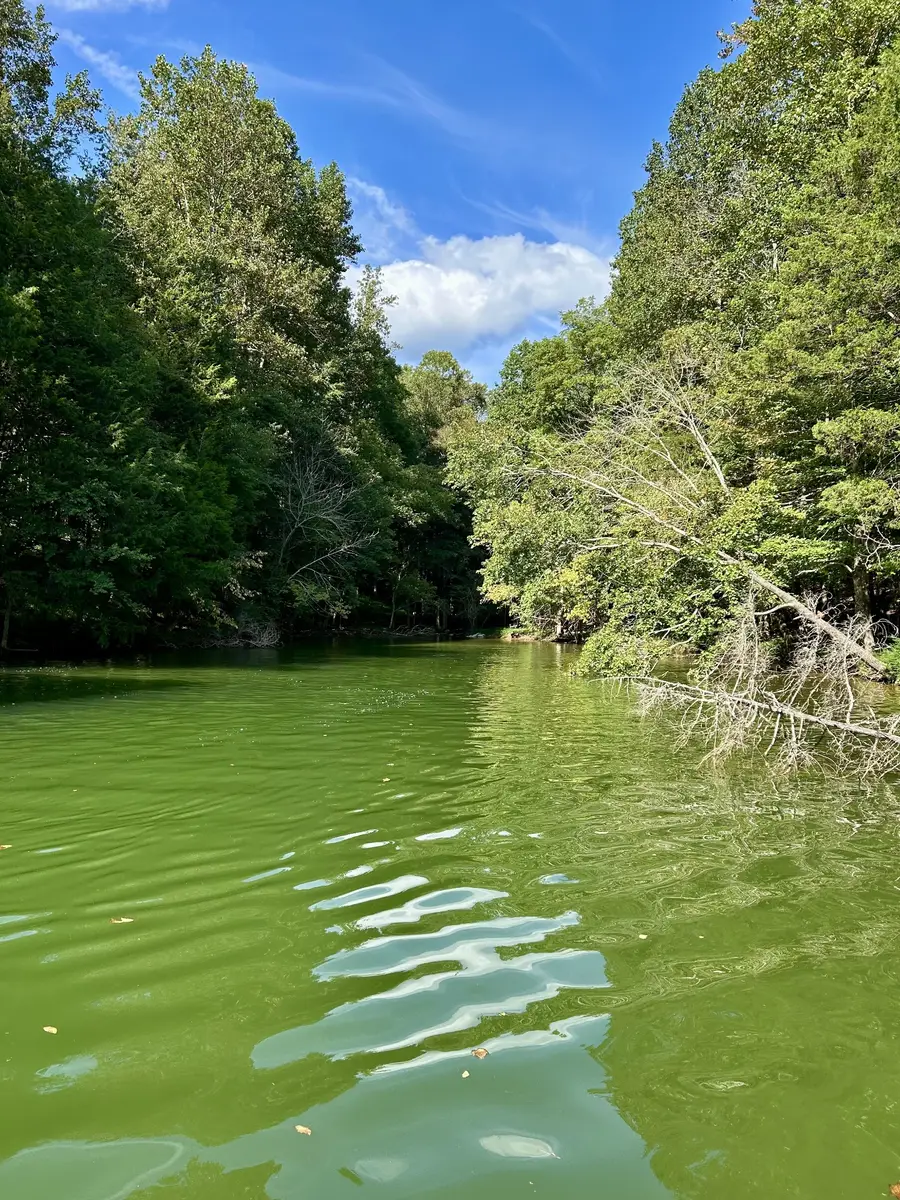 190 Jd Lane, Lynchburg, TN 37352 - #3